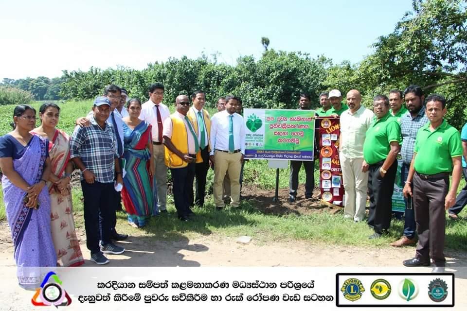 Installation of awareness boards and tree planting programme
