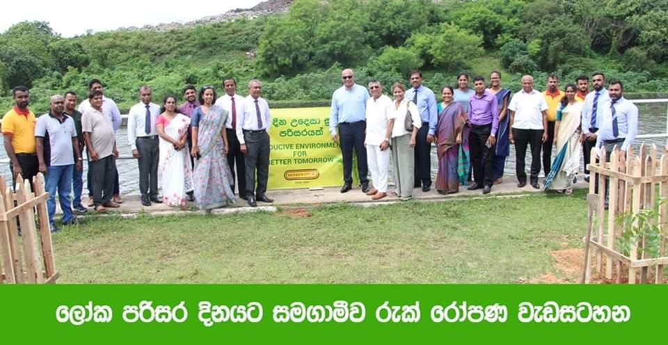 World Environment Day celebration